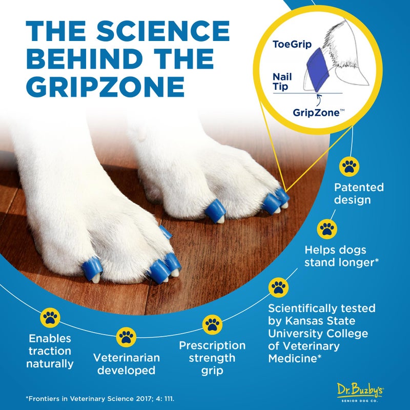 Dr. Buzby's Dr Buzby's XSmall ToeGrips for Dogs - Instant Traction on Wood/Hardwood Floors - Anti Slip Relief - Grippers for Senior Dogs - Stop Sliding Instantly - Rubber Nails for Paws - 1 Pack (20 Grips) - Image 5